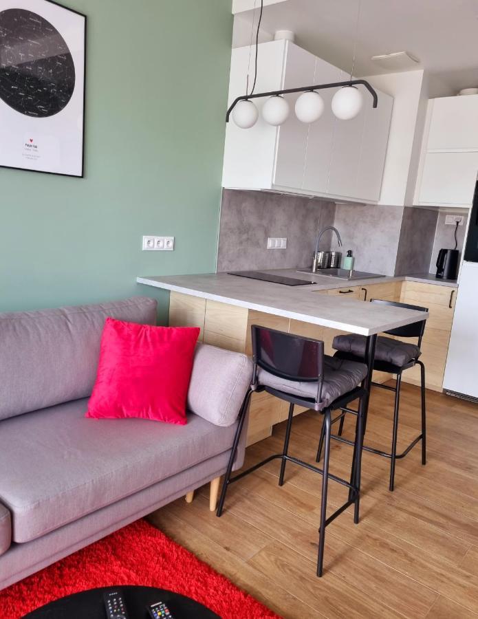 Mint And Cherry Apartament 格但斯克 外观 照片